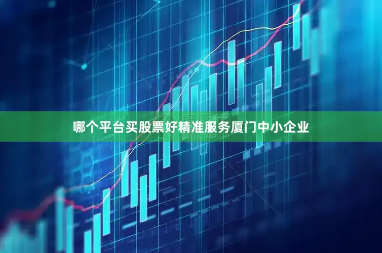 哪个平台买股票好精准服务厦门中小企业