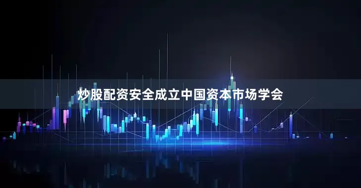 炒股配资安全成立中国资本市场学会